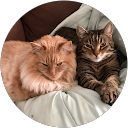 Tina Keely profile picture